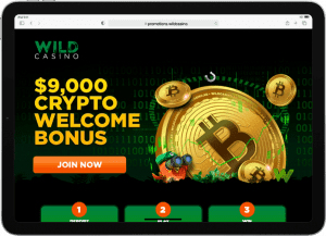 Wild Casino online App Screen