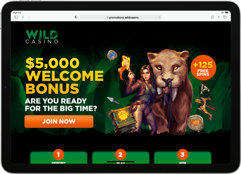 Wild Casino Welcome Bonus