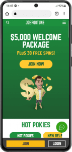 joe fortune Casino Mobile App Phone