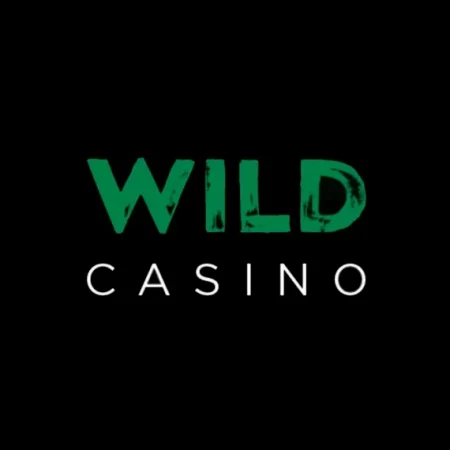 Experience the Thrill with the Wild Casino App for Android